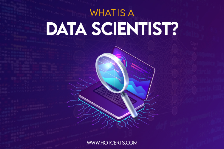 What is a data scientist?