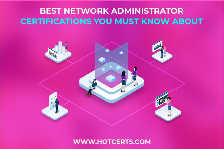 Network Administrator