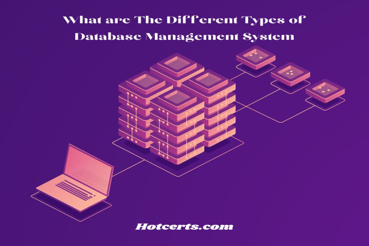 Different Types of Database Management System