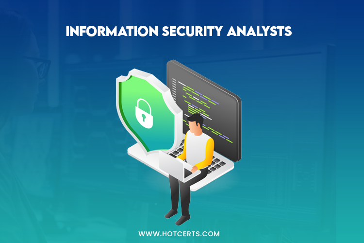 Information Security Analysts