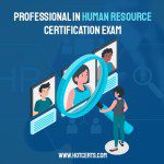 Global Professional in Human Resource