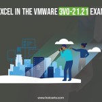 VMware 3V0-21.21 Exam