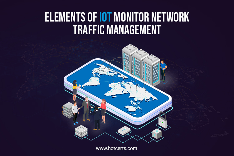 IoT Monitor Network Traffic Management