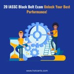 20 IASSC Black Belt Exam